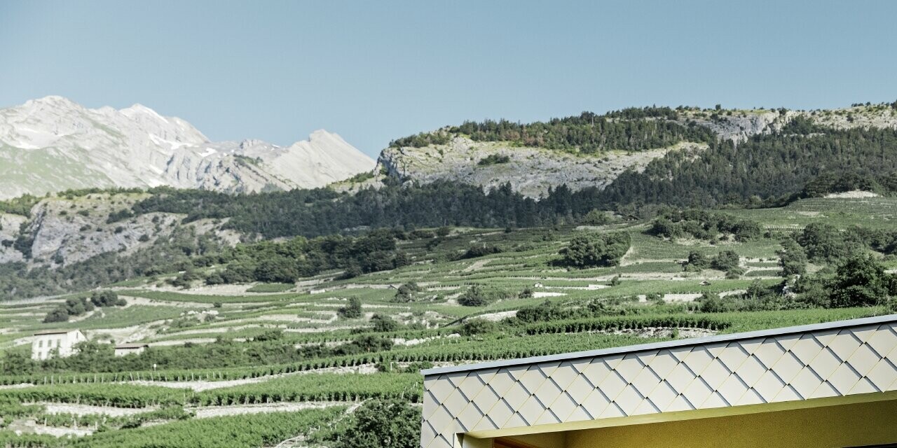 Maison individuelle moderne au cœur des vignobles de la vallée du Rhône avec quatre pentes de toit et grand balcon couvert — Façade habillée de losanges PREFA de couleur bronze