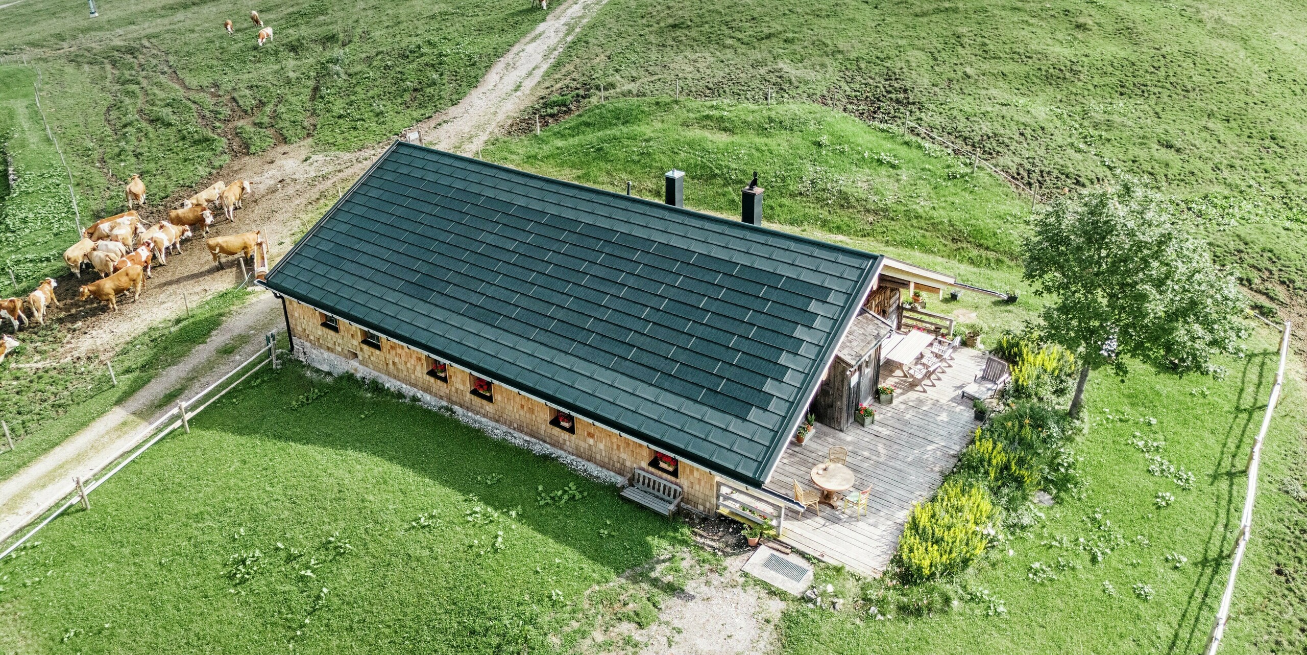 Vue aérienne de la Birkehütte sur le Walleralm, Bayrischzell, avec une nouvelle couverture de toit en panneaux de toiture PREFA R.16 en P.10 noir et tuiles solaires PREFA. La cabane traditionnelle en bois avec une terrasse confortable s'intègre parfaitement dans le paysage verdoyant de la montagne. Les vaches paissent paisiblement dans les prairies environnantes, tandis que le système de toiture innovant favorise la production d'énergie durable tout en offrant une protection robuste contre les intempéries.